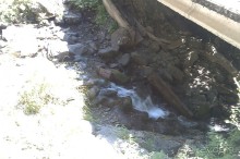 НАЗАД в ПРОШЛОЕ...