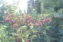 НАЗАД в ПРОШЛОЕ...