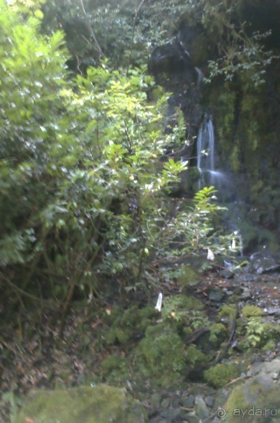 НАЗАД в ПРОШЛОЕ...