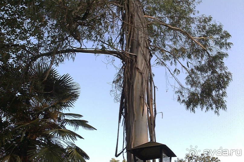 НАЗАД в ПРОШЛОЕ...