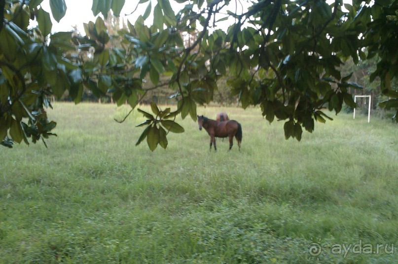 НАЗАД в ПРОШЛОЕ...