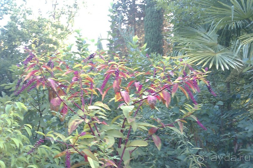 НАЗАД в ПРОШЛОЕ...