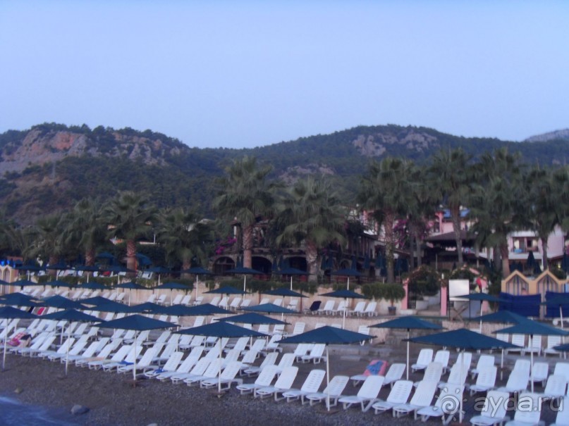 Прелестно...