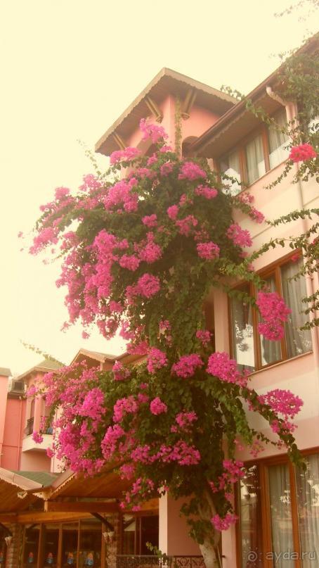 Прелестно...