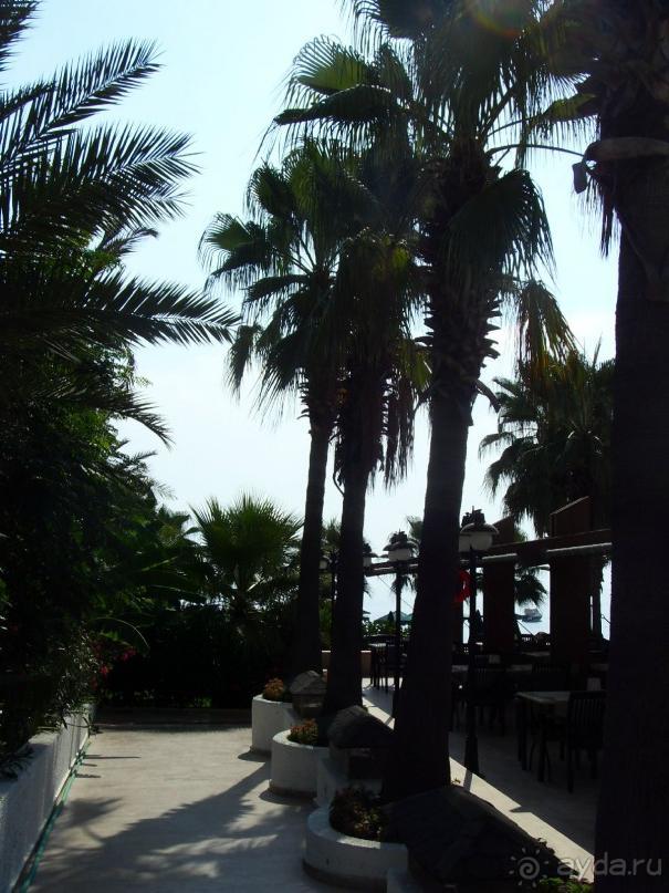 Прелестно...