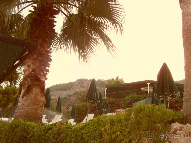 Прелестно...