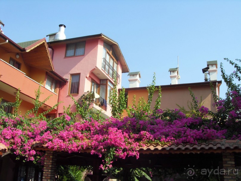 Прелестно...