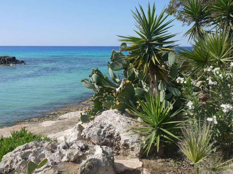 бухточка в которой собственный пляж отеля