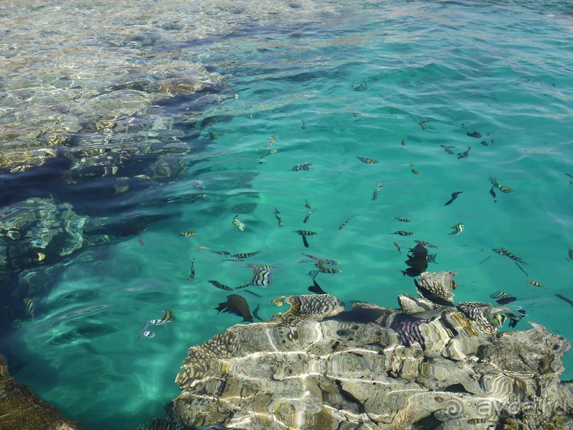 Просторный, спокойный и немного пошарпанный отель