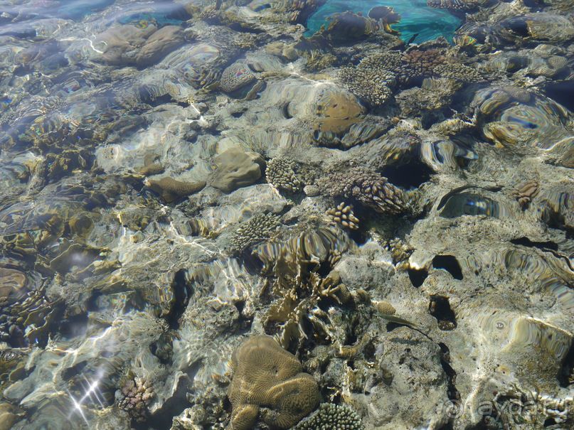 Просторный, спокойный и немного пошарпанный отель