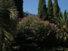 Приезжайте с семьёй отдыхать в Энергетик!