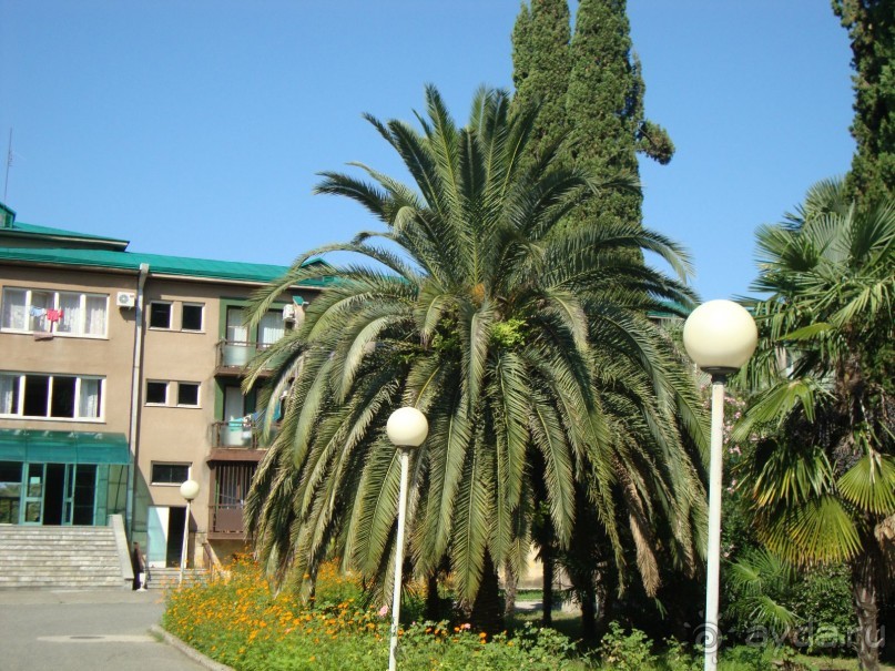 Приезжайте с семьёй отдыхать в Энергетик!