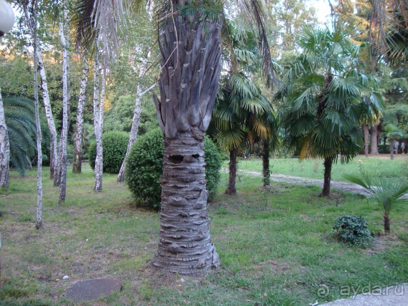 Приезжайте с семьёй отдыхать в Энергетик!