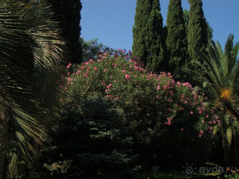 Приезжайте с семьёй отдыхать в Энергетик!