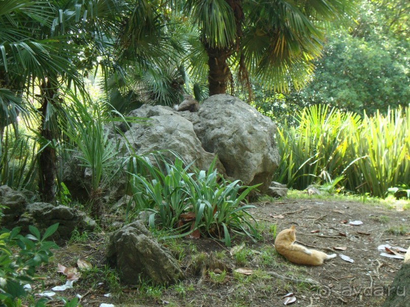 Приезжайте с семьёй отдыхать в Энергетик!