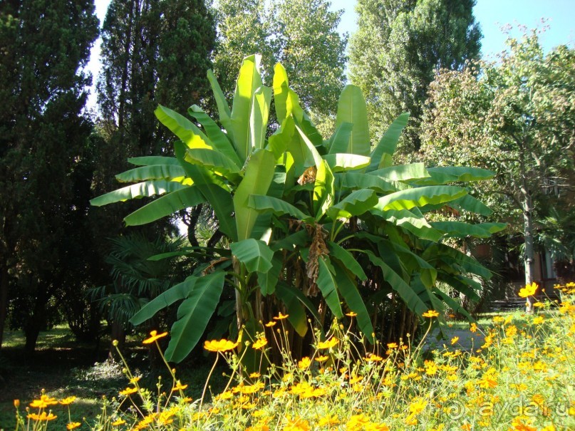 Приезжайте с семьёй отдыхать в Энергетик!