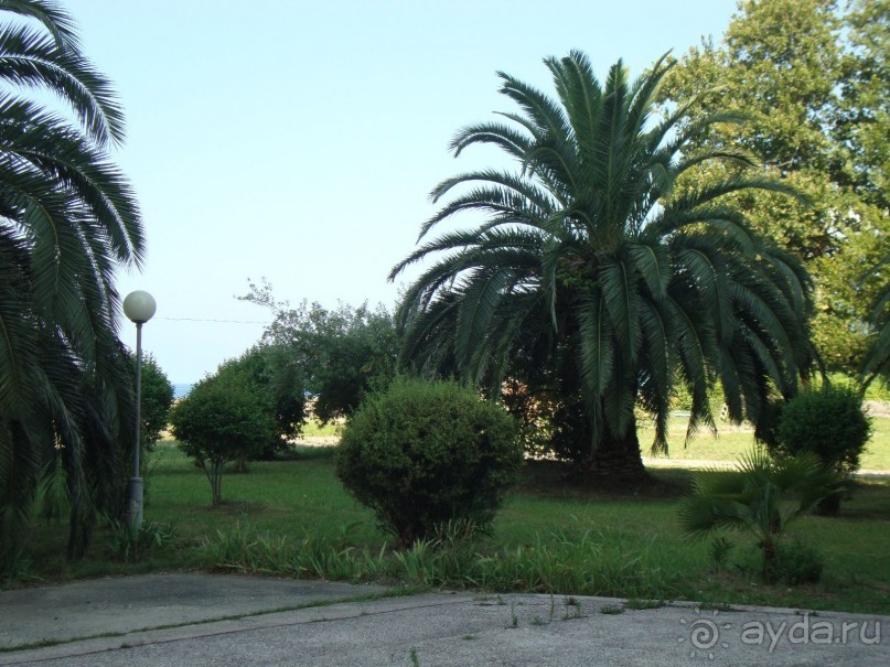 Приезжайте с семьёй отдыхать в Энергетик!