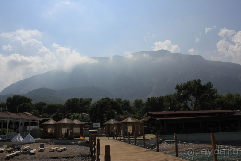 красивая территория