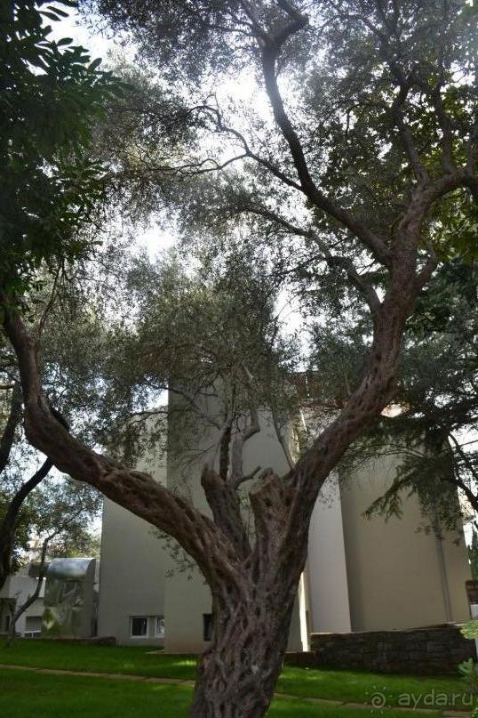 Обновленный отель Castellastva ****