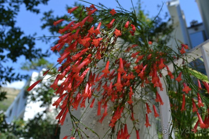 Обновленный отель Castellastva ****