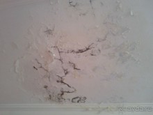 ужас ужас и еще раз ужас!!!!!!!!!!!!!!!!