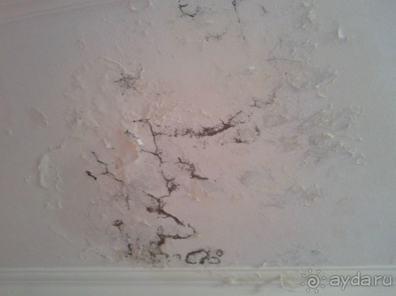 ужас ужас и еще раз ужас!!!!!!!!!!!!!!!!