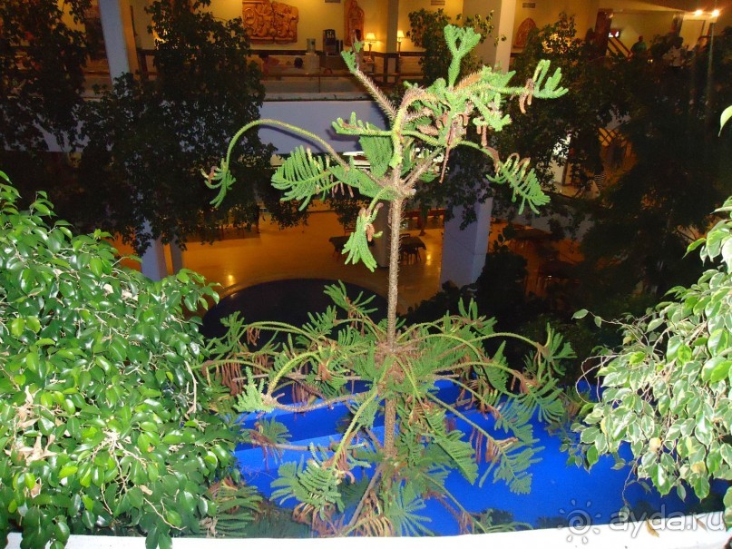 Приезжайте  в этот отель!!!