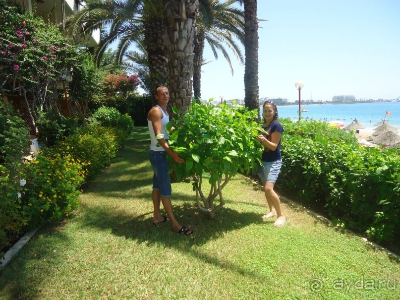 Приезжайте  в этот отель!!!