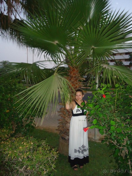 Приезжайте  в этот отель!!!