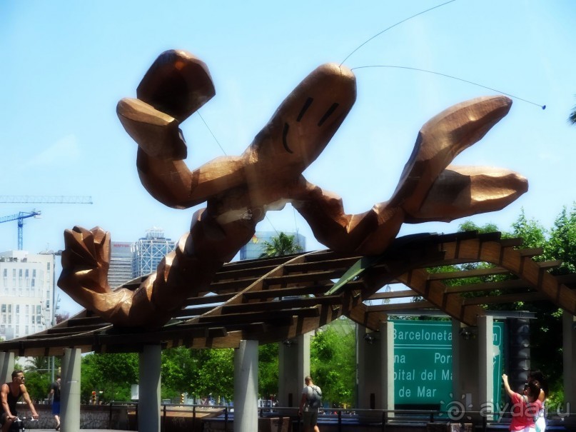 Смешной памятник креветке в Барселоне