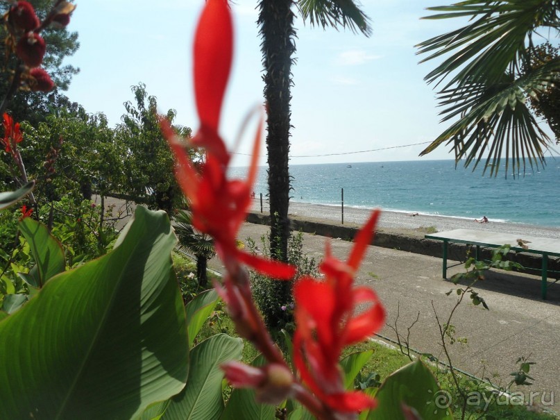 Если готовы принять Абхазию, как она есть - вперед!Удачи!