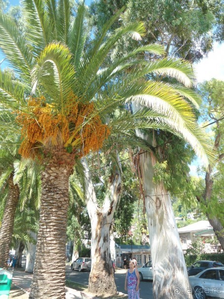 Если готовы принять Абхазию, как она есть - вперед!Удачи!