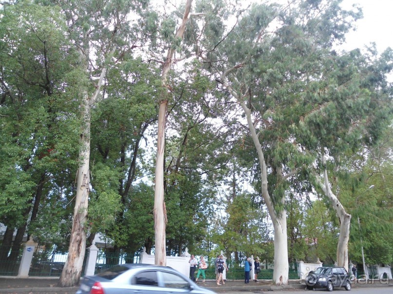 Если готовы принять Абхазию, как она есть - вперед!Удачи!