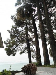 ПОЕЗЖАЙТЕ В АБХАЗИЮ – НЕ ПОЖАЛЕЕТЕ!!!