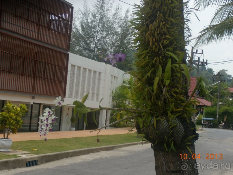 если вам нужен покой и тишина - вам сюда!