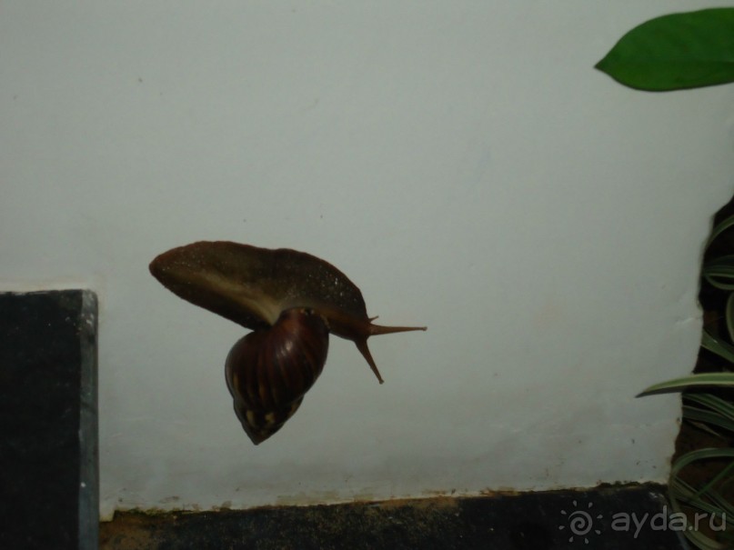 и снова Вьетнам...