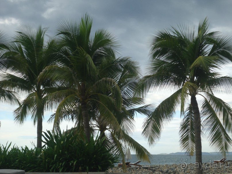 и снова Вьетнам...