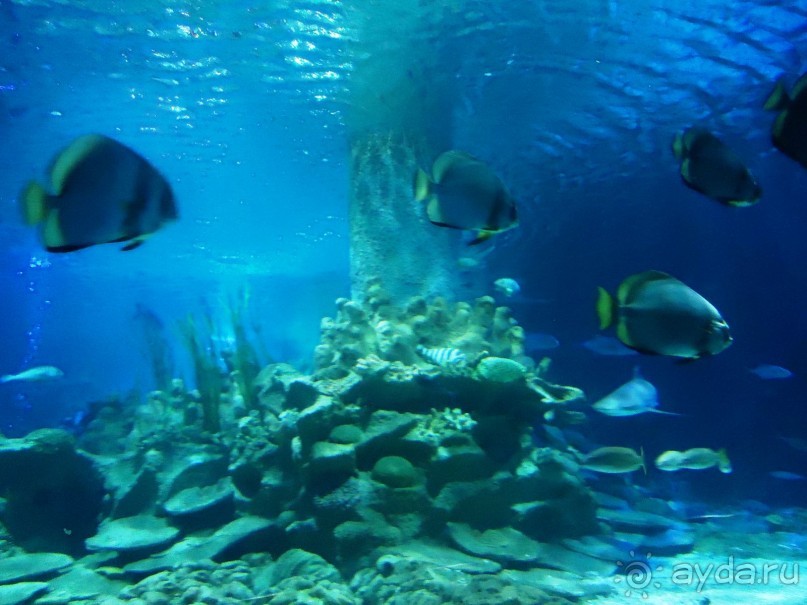 и снова Вьетнам...