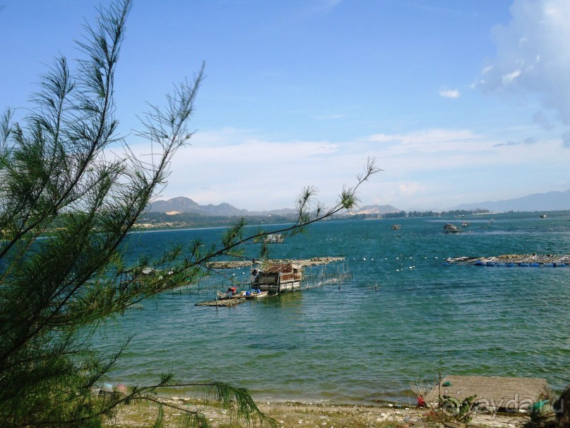 и снова Вьетнам...