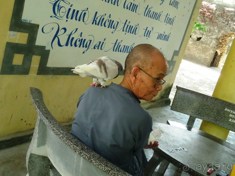 и снова Вьетнам...