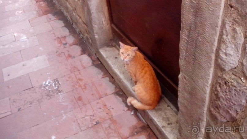 В целом песня.