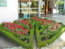 MIMOSA  ВСЕ НА ВЫСШЕМ УРОВНЕ