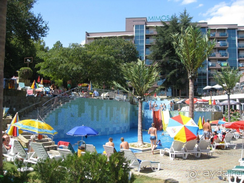 MIMOSA  ВСЕ НА ВЫСШЕМ УРОВНЕ