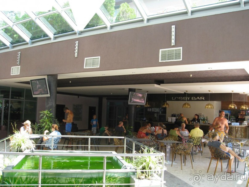 MIMOSA  ВСЕ НА ВЫСШЕМ УРОВНЕ