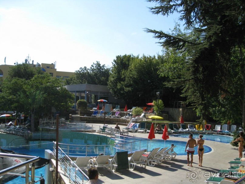 MIMOSA  ВСЕ НА ВЫСШЕМ УРОВНЕ