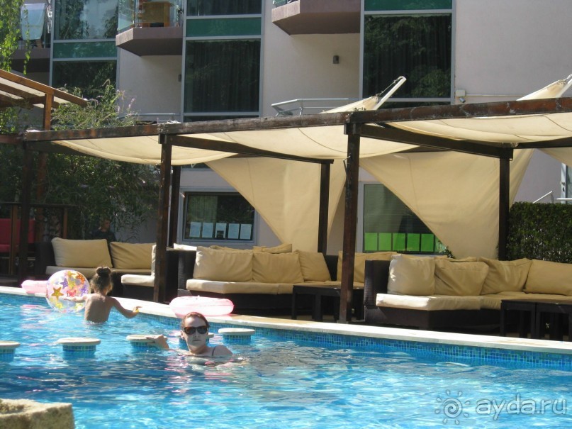 MIMOSA  ВСЕ НА ВЫСШЕМ УРОВНЕ