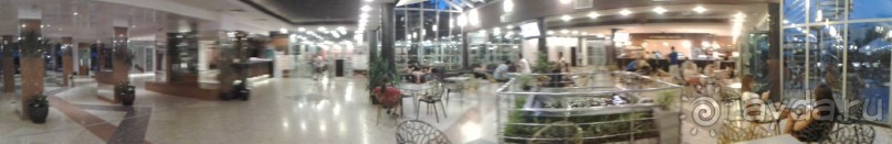 MIMOSA  ВСЕ НА ВЫСШЕМ УРОВНЕ