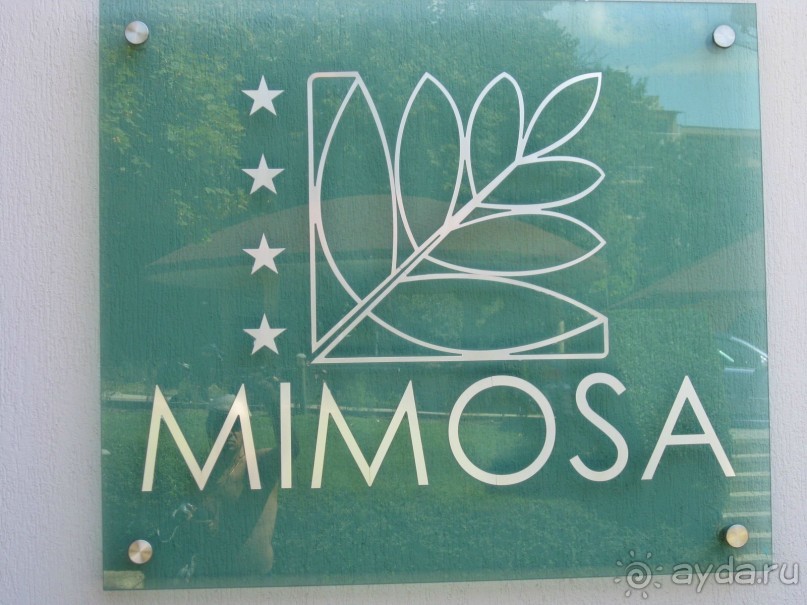 MIMOSA  ВСЕ НА ВЫСШЕМ УРОВНЕ