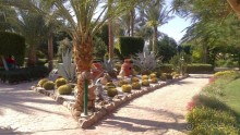 “Nubian Village  - не забываемый отдых”