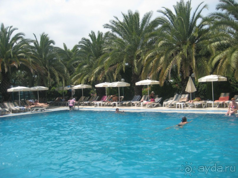 Рекомендую!